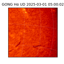 gong - 2025-03-01T05:00:02