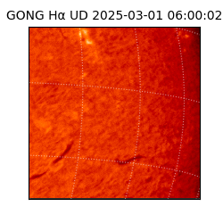 gong - 2025-03-01T06:00:02