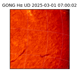 gong - 2025-03-01T07:00:02