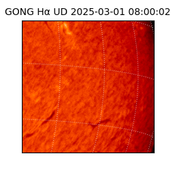 gong - 2025-03-01T08:00:02