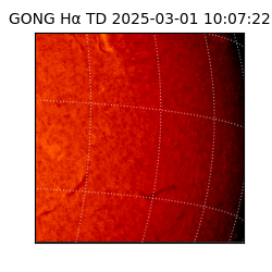gong - 2025-03-01T10:07:22