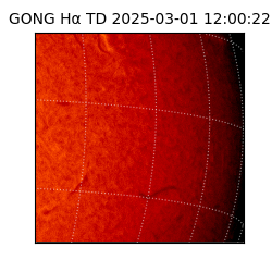 gong - 2025-03-01T12:00:22