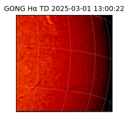 gong - 2025-03-01T13:00:22