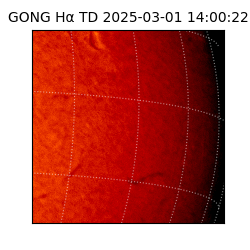 gong - 2025-03-01T14:00:22