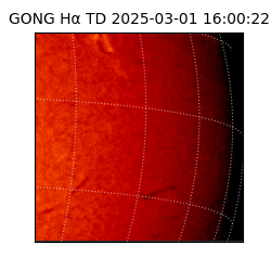 gong - 2025-03-01T16:00:22