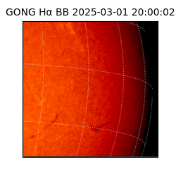 gong - 2025-03-01T20:00:02
