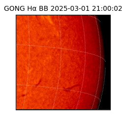 gong - 2025-03-01T21:00:02