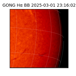 gong - 2025-03-01T23:16:02