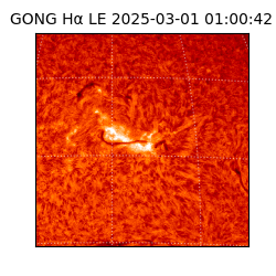 gong - 2025-03-01T01:00:42