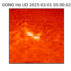 gong - 2025-03-01T05:00:02