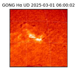 gong - 2025-03-01T06:00:02