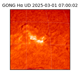 gong - 2025-03-01T07:00:02