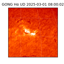 gong - 2025-03-01T08:00:02