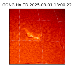 gong - 2025-03-01T13:00:22