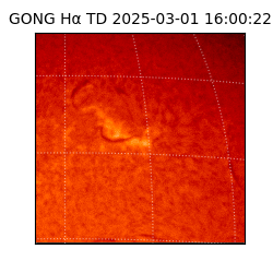 gong - 2025-03-01T16:00:22