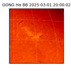 gong - 2025-03-01T20:00:02