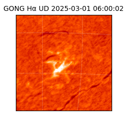 gong - 2025-03-01T06:00:02