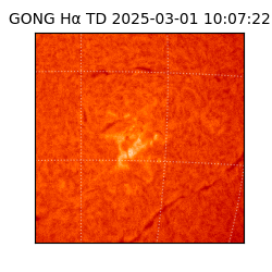 gong - 2025-03-01T10:07:22