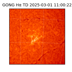 gong - 2025-03-01T11:00:22