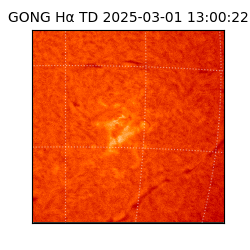 gong - 2025-03-01T13:00:22