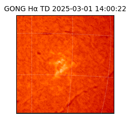 gong - 2025-03-01T14:00:22