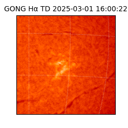gong - 2025-03-01T16:00:22