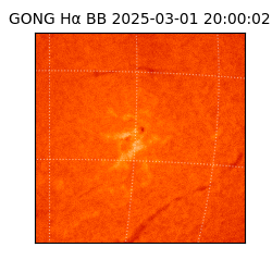 gong - 2025-03-01T20:00:02