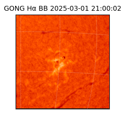 gong - 2025-03-01T21:00:02