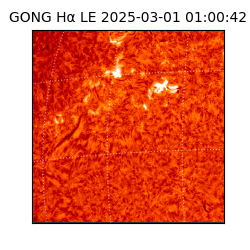 gong - 2025-03-01T01:00:42