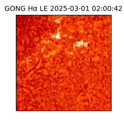 gong - 2025-03-01T02:00:42