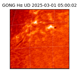 gong - 2025-03-01T05:00:02