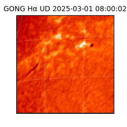 gong - 2025-03-01T08:00:02