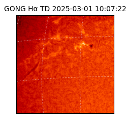 gong - 2025-03-01T10:07:22