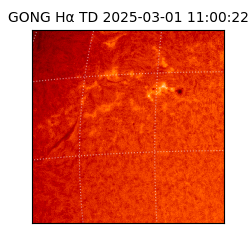 gong - 2025-03-01T11:00:22