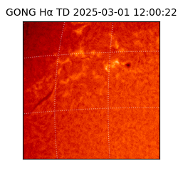 gong - 2025-03-01T12:00:22