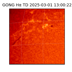 gong - 2025-03-01T13:00:22