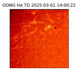 gong - 2025-03-01T14:00:22