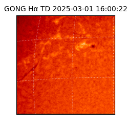 gong - 2025-03-01T16:00:22