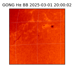 gong - 2025-03-01T20:00:02