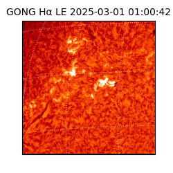 gong - 2025-03-01T01:00:42