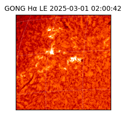 gong - 2025-03-01T02:00:42