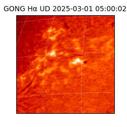 gong - 2025-03-01T05:00:02