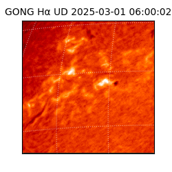 gong - 2025-03-01T06:00:02