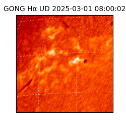 gong - 2025-03-01T08:00:02