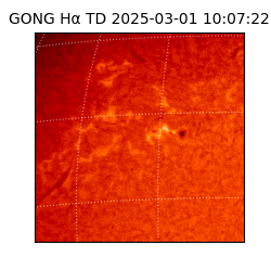 gong - 2025-03-01T10:07:22