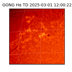 gong - 2025-03-01T12:00:22