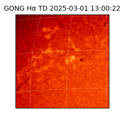 gong - 2025-03-01T13:00:22