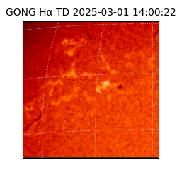 gong - 2025-03-01T14:00:22