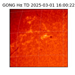 gong - 2025-03-01T16:00:22