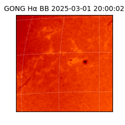 gong - 2025-03-01T20:00:02